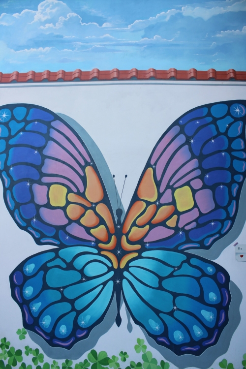 202211211315110.img-9544