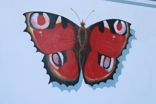 202211211315110.img-9549