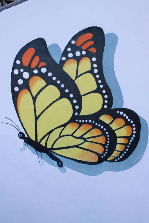 202211211315110.img-9550