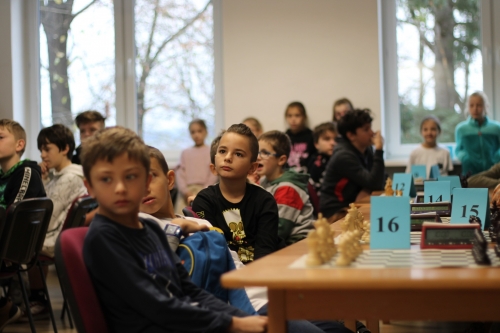 202311221046050.img-6133