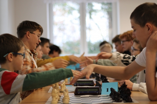 202311221046050.img-6146