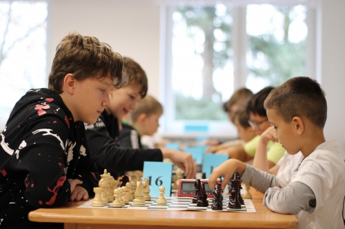 202311221046050.img-6151