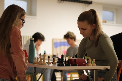 202311221046050.img-6163