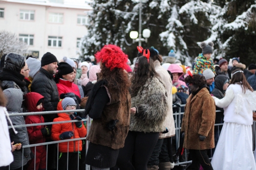 202312051530580.img-6832