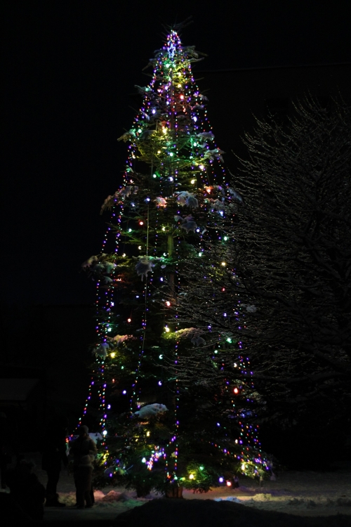 202312051530580.img-6873