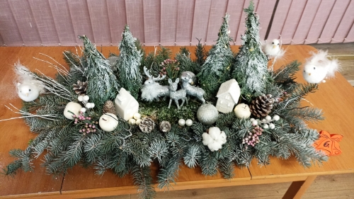 202312151526240.img-20231215-105655