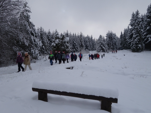 202312151538350.dsc02847