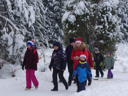 202312151538350.dsc02849