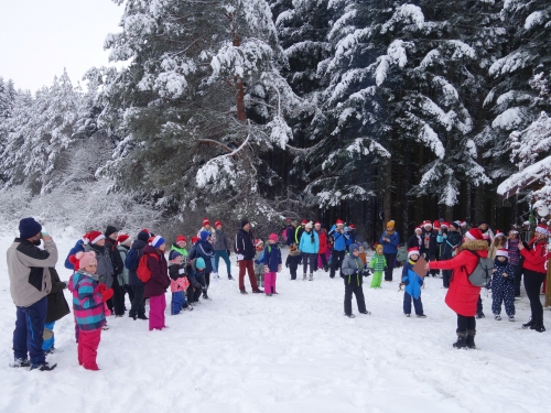 202312151538350.dsc02856