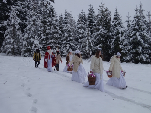 202312151538350.dsc02858