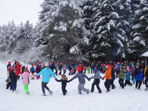 202312151538350.dsc02881