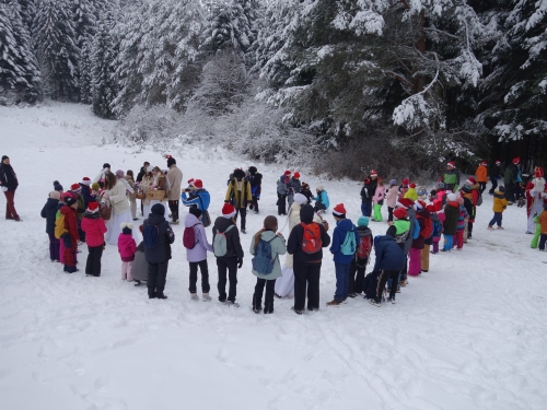 202312151538350.dsc02884