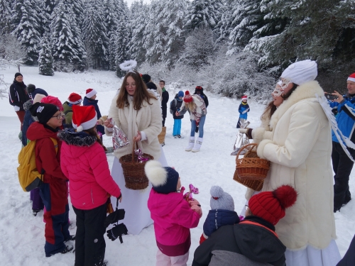 202312151538350.dsc02885