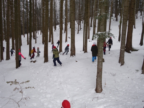 202312151538350.dsc02894