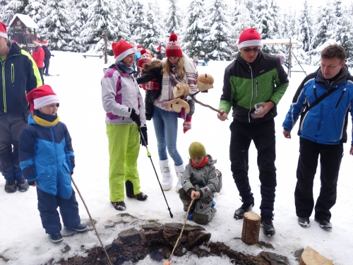 202312151538350.dsc02909