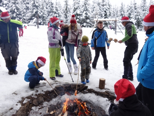 202312151538350.dsc02910