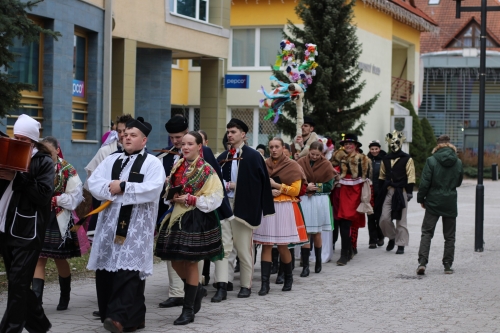 202402151056290.img-7211