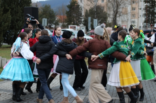 202402151056290.img-7299