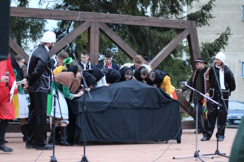 202402151056290.img-7361