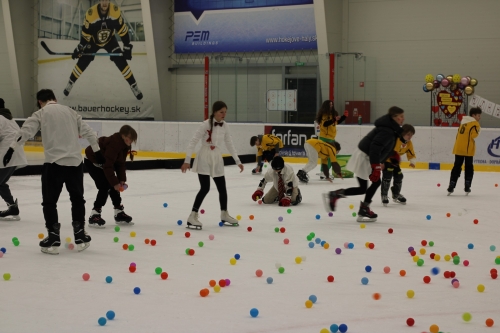 202402151101430.img-7624