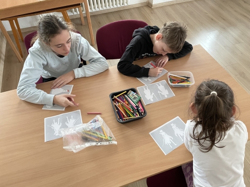 202403061417480.img-2795