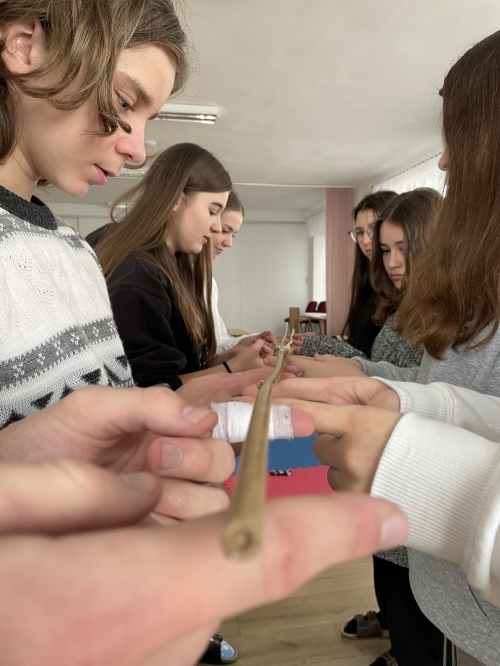 202403061423060.406062626-920175476124685-5919162730611752256-n