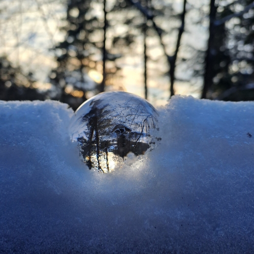 202403141357030.1-2-miesto-lenka-dubjelova