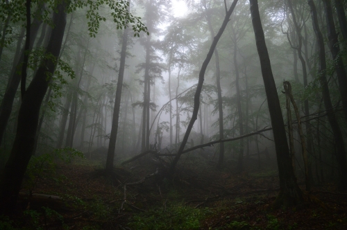 202403141357030.2-1-miesto-simon-pjatak