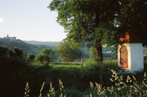 202403141357030.3-1-5-miesto-viktoria-duffala