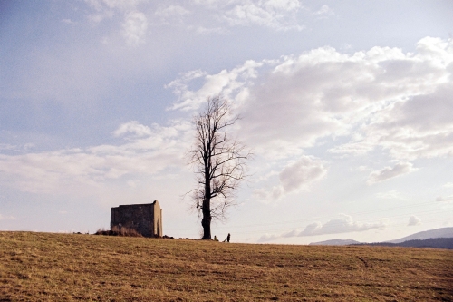 202403141357030.3-1-miesto-viktoria-duffala