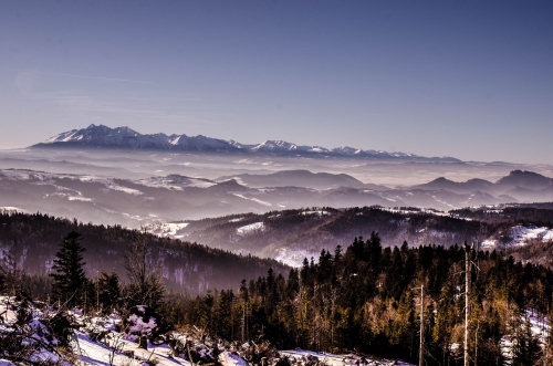 202403141357030.3-2-miesto-patrik-elias