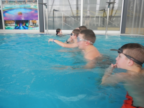 202403190853170.dscn1758