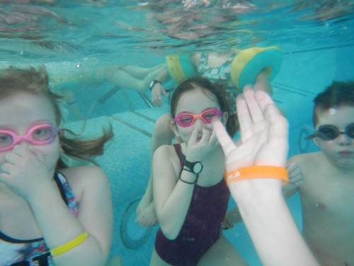 202403190853170.dscn1765