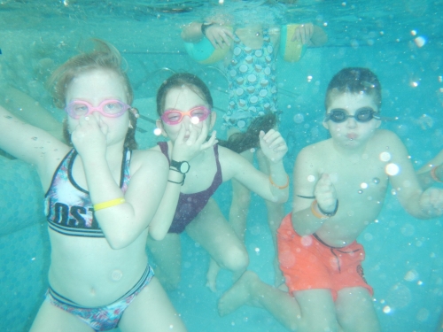 202403190853170.dscn1766