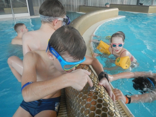 202403190853170.dscn1772