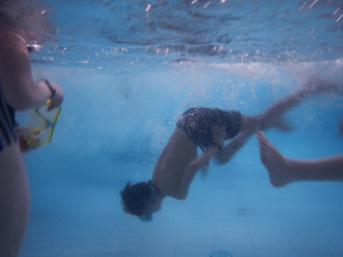 202403190853170.dscn1783