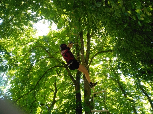 202406191030400.img-20240615-123612-kopia