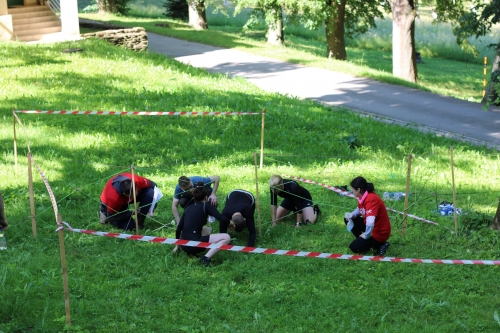 202406191045530.img-0675