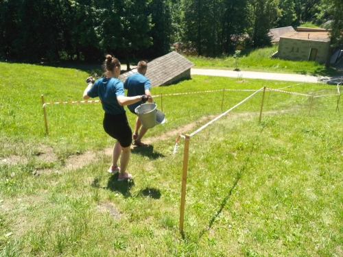 202406191045530.img-20240615-120308