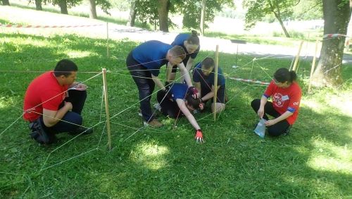 202406191045530.p6150664