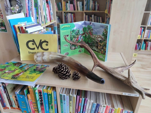 202407171328530.messenger-creation-cfb4066c-601f-4208-b82c-44ec5de2faac