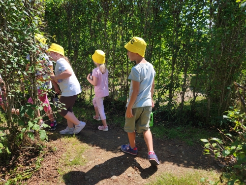 202407240829580.20240715-134110