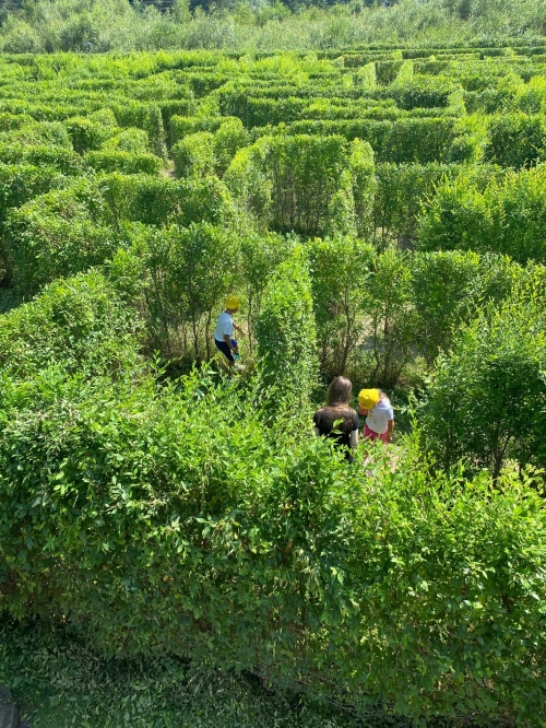 202407240829580.img-20240719-wa0049