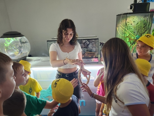 202407240829590.20240716-125319