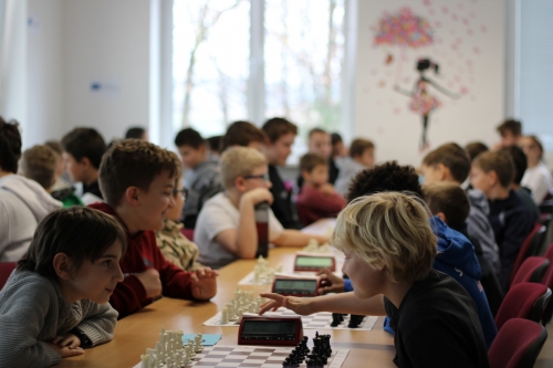 202411181503280.img-2100