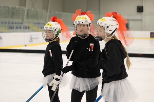 202503031019570.img-2630