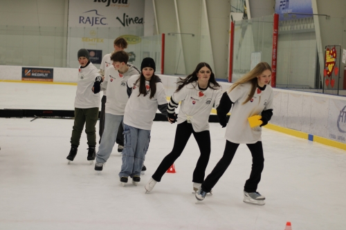 202503031019570.img-2746