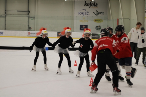 202503031019570.img-2752