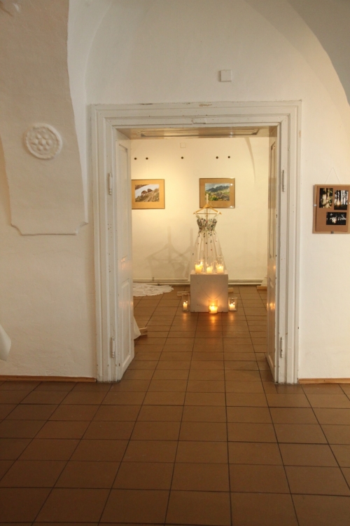 202503031108170.img-0901