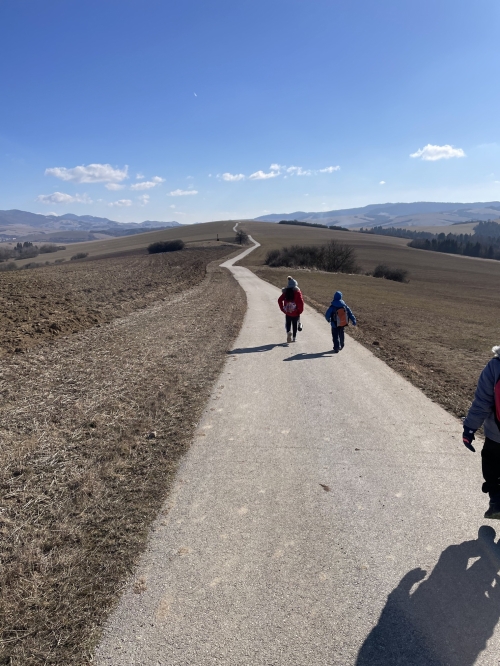 202503031114380.img-3976